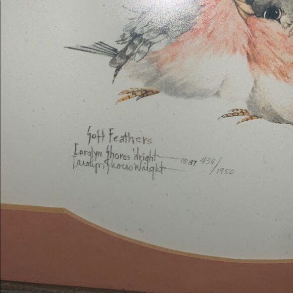 Bird art by Carolyn Shores Wright - Picture 3 of 8